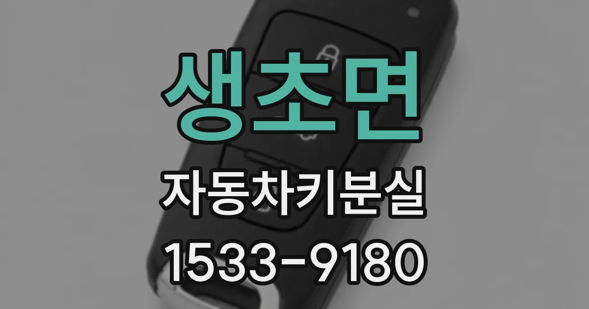 생초면 자동차키분실