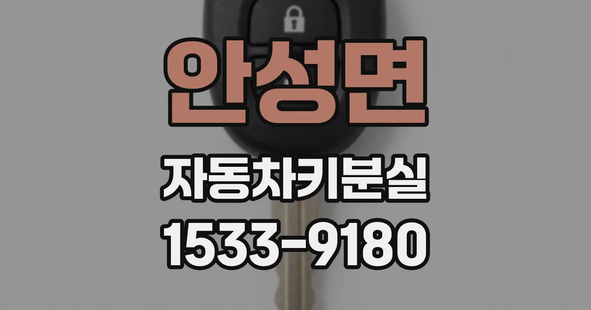 안성면 자동차키분실
