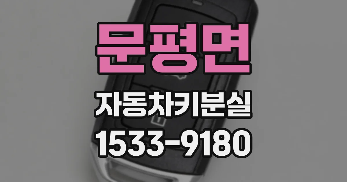 문평면 자동차키분실