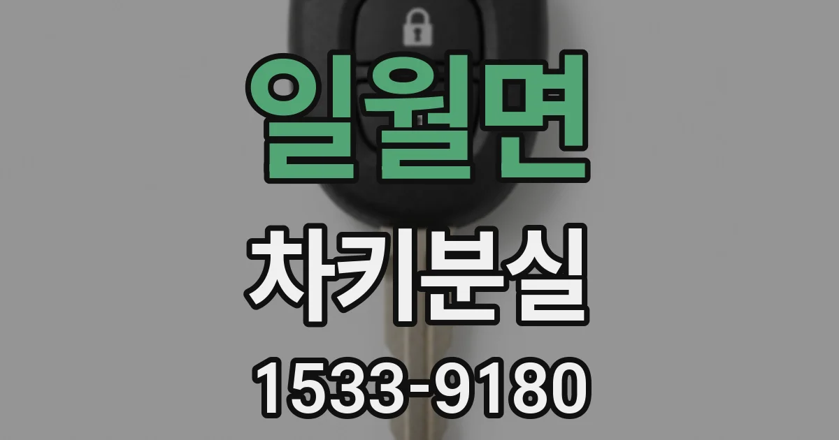 일월면 차키분실