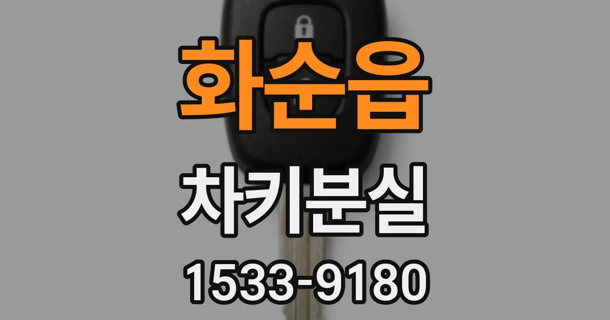 화순읍 차키분실