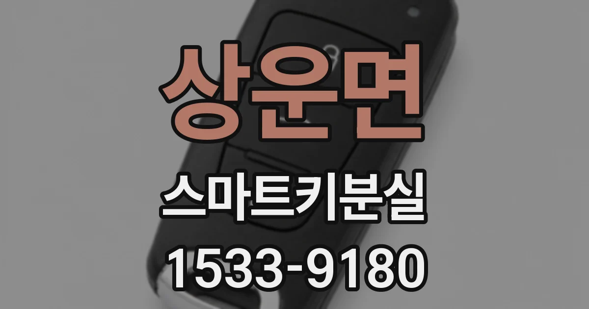 상운면 스마트키분실