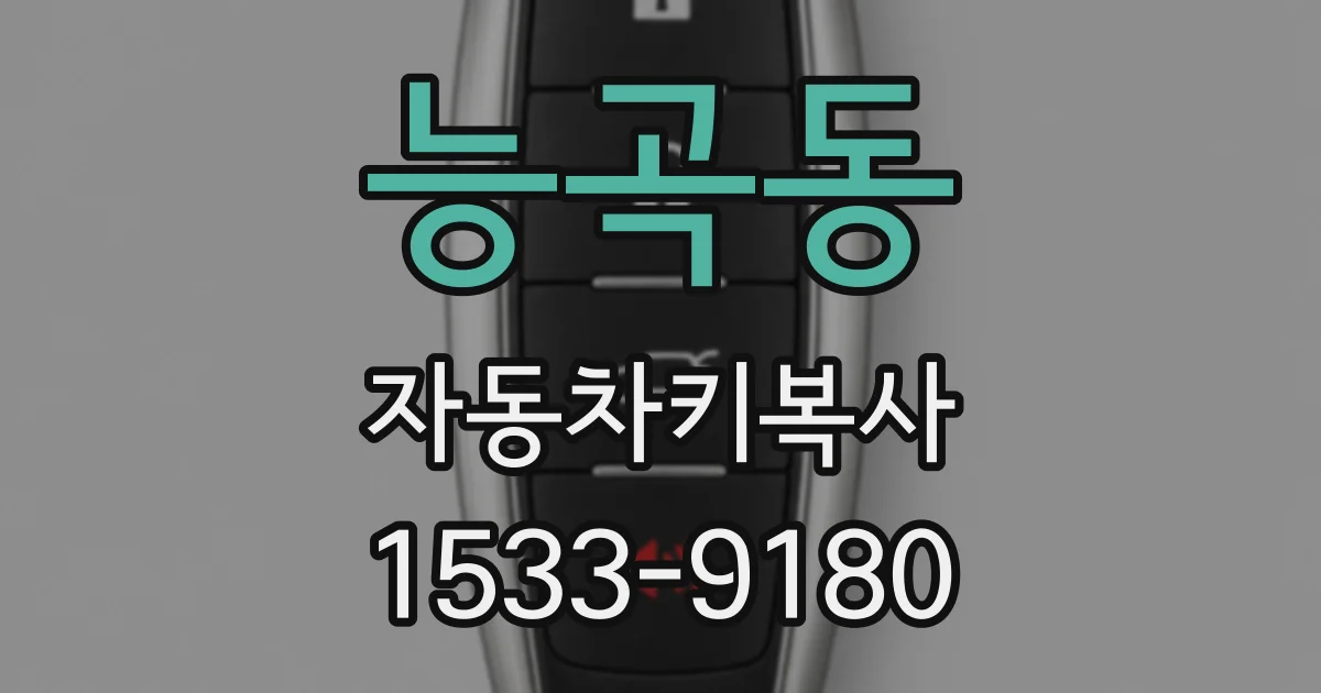 능곡동 자동차키복사