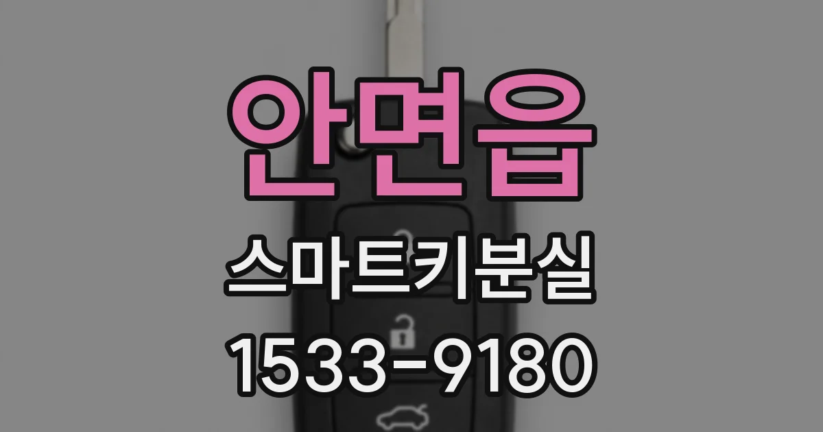 안면읍 스마트키분실