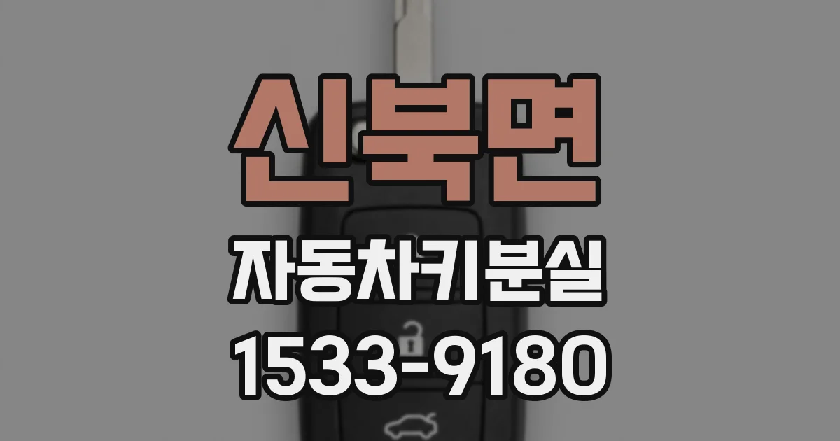 신북면 자동차키분실