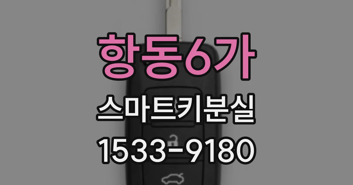 항동6가 스마트키분실