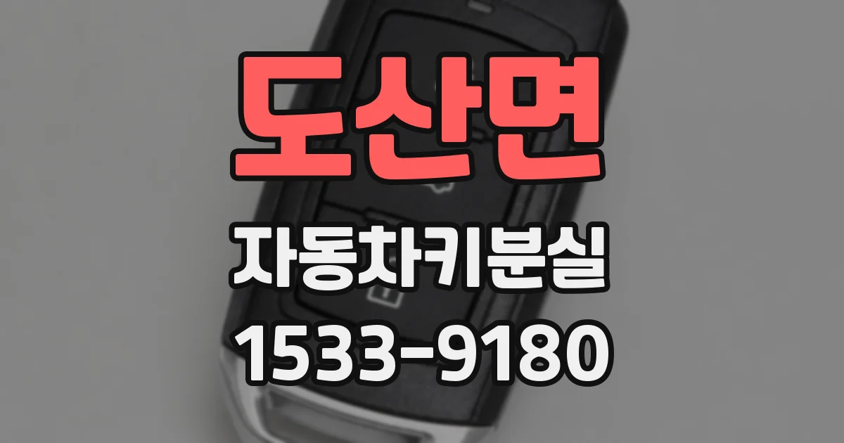 도산면 자동차키분실