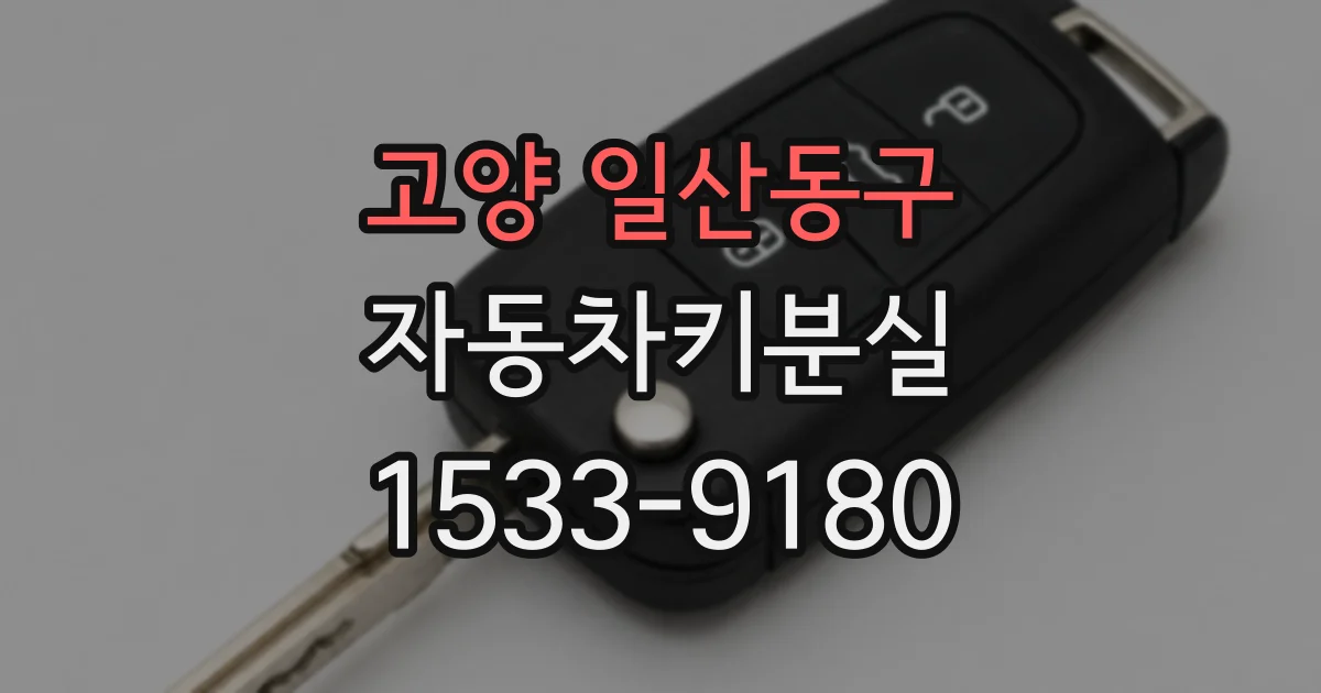고양 일산동구 자동차키분실