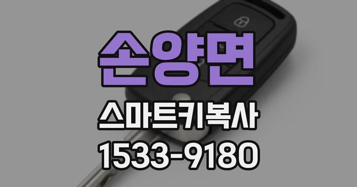 손양면 스마트키복사