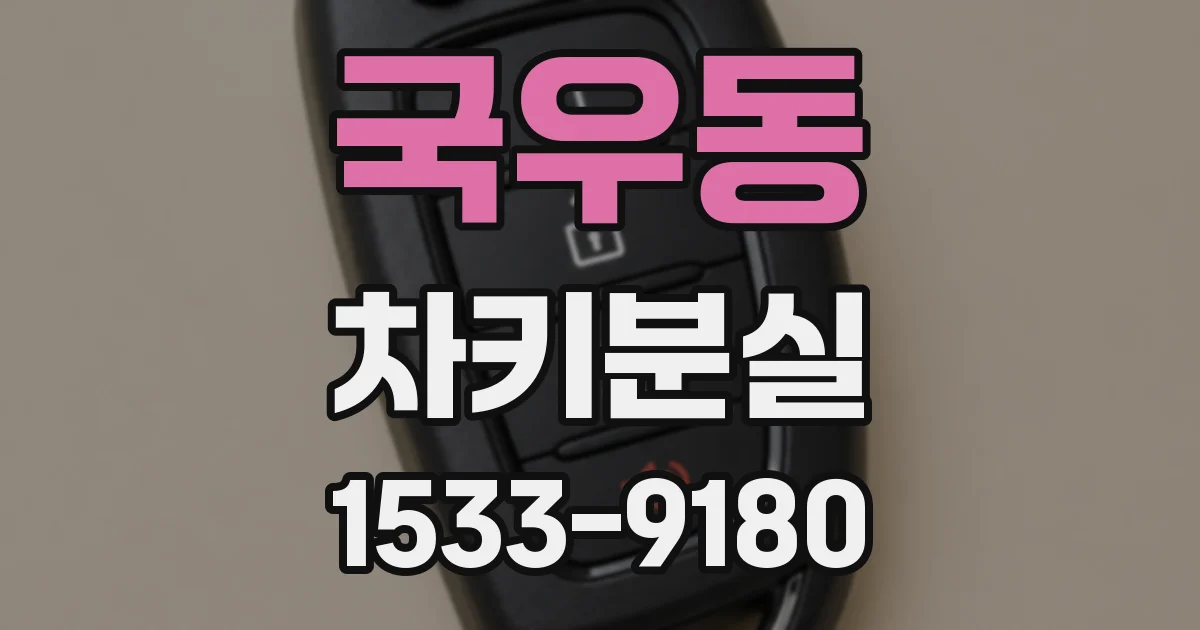 국우동 차키분실