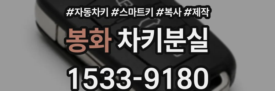 봉화 차키분실