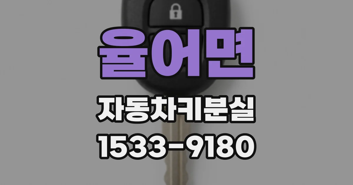 율어면 자동차키분실