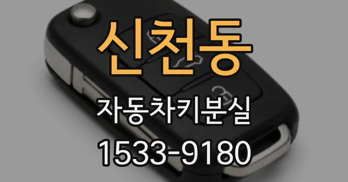 신천동 자동차키분실