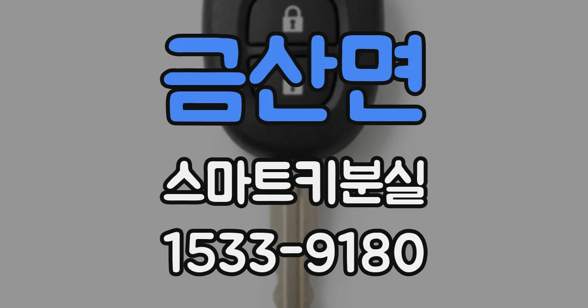 금산면 스마트키분실