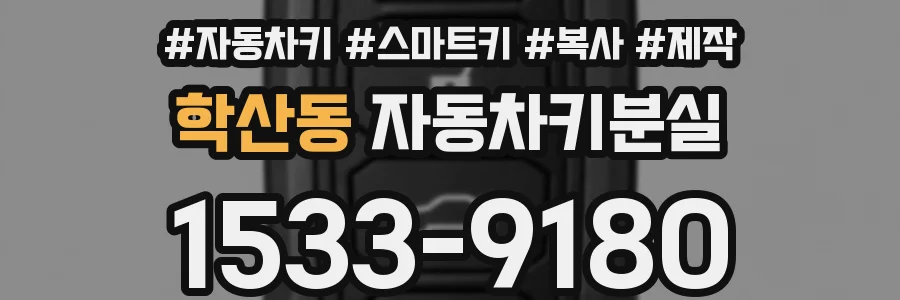 학산동 자동차키분실