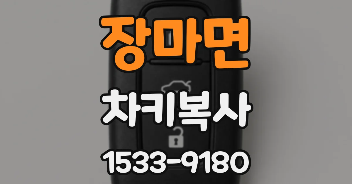 장마면 차키복사