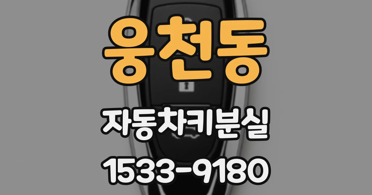 웅천동 자동차키분실