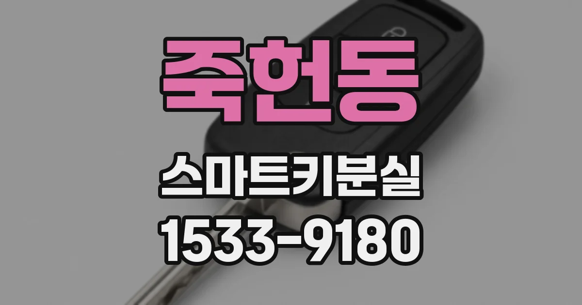 죽헌동 스마트키분실