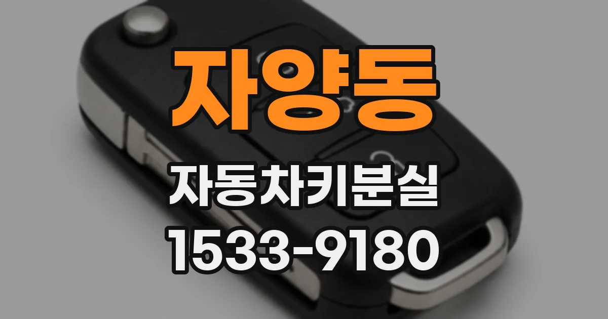 자양동 자동차키분실