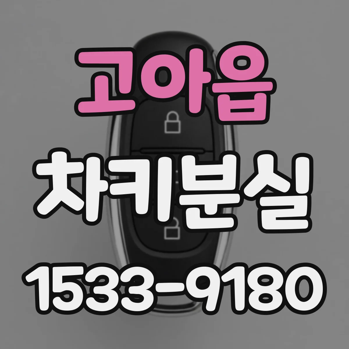 고아읍 차키분실