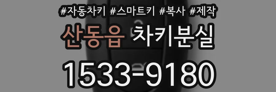 산동읍 차키분실