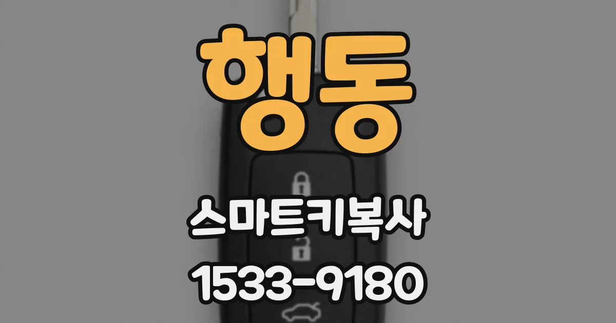 행동 스마트키복사