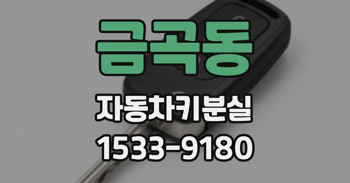 금곡동 자동차키분실
