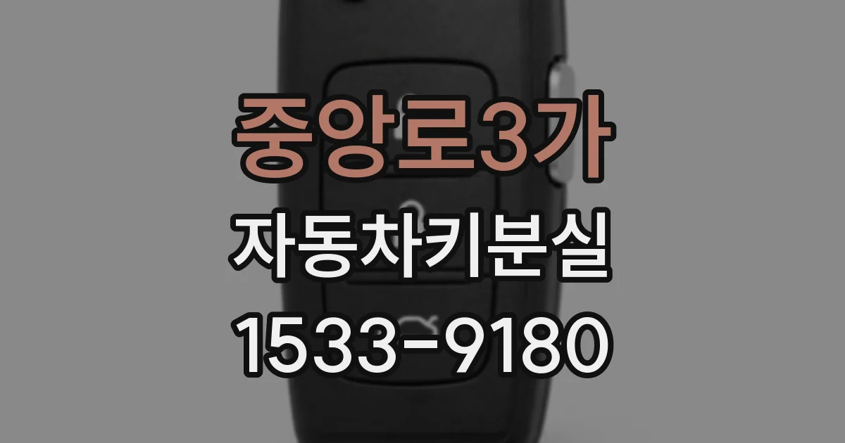 중앙로3가 자동차키분실