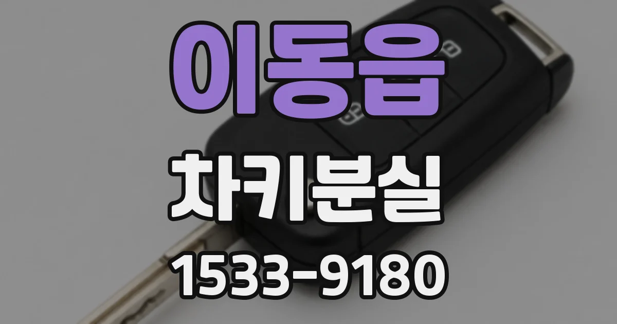 이동읍 차키분실