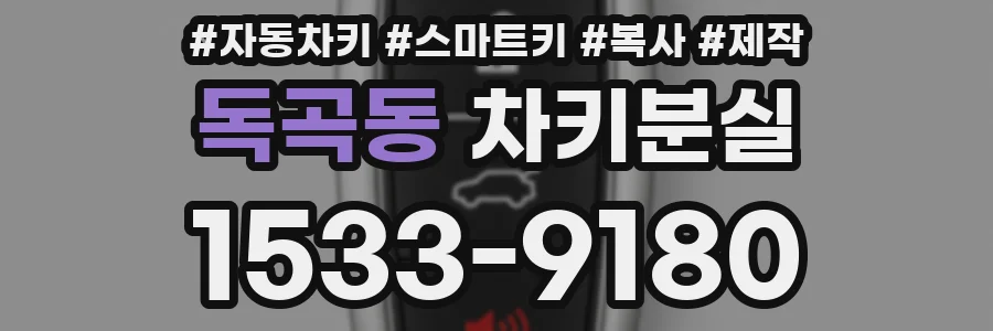 독곡동 차키분실