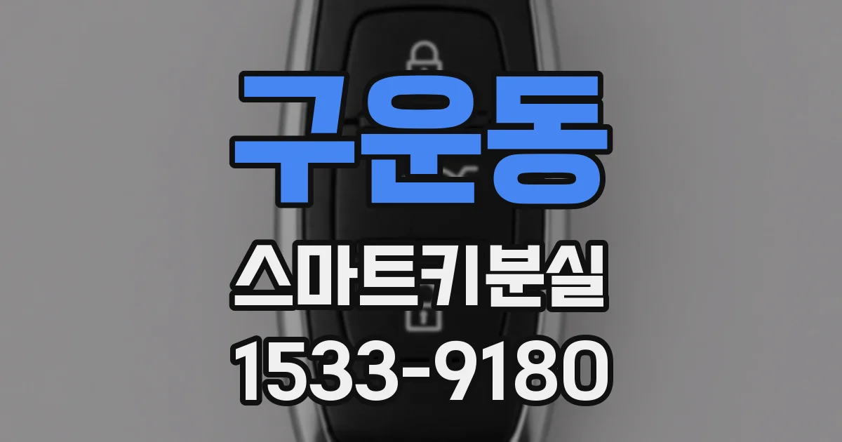구운동 스마트키분실