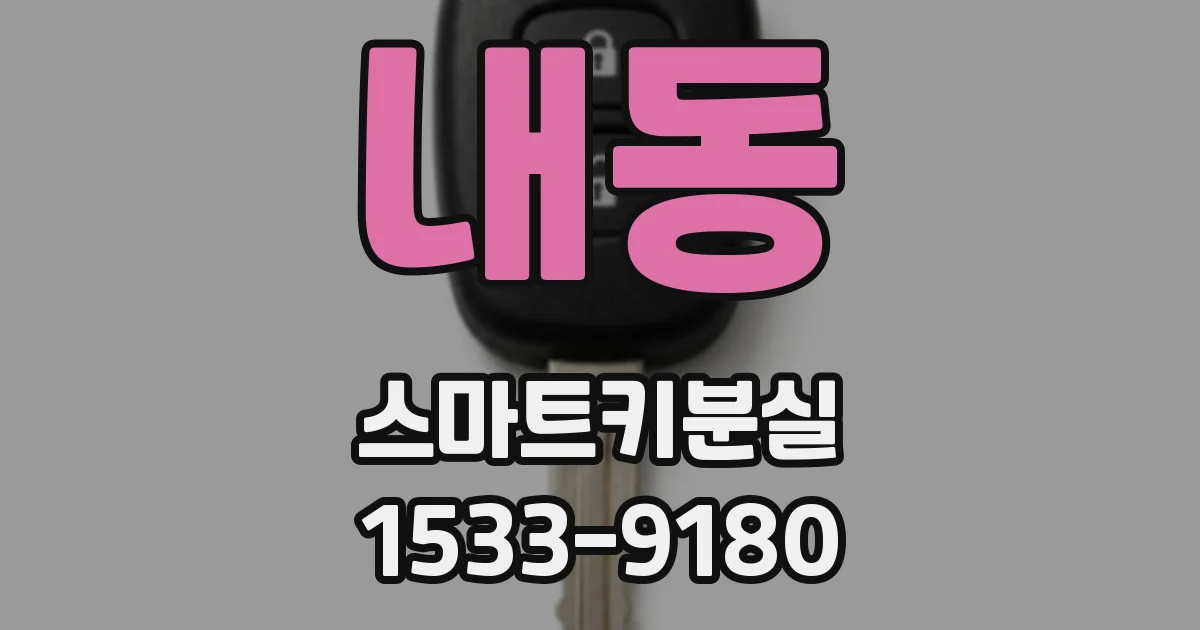 내동 스마트키분실