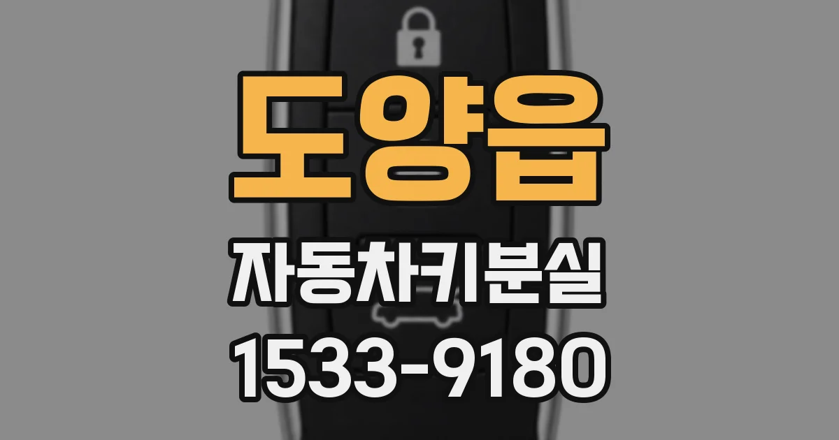 도양읍 자동차키분실