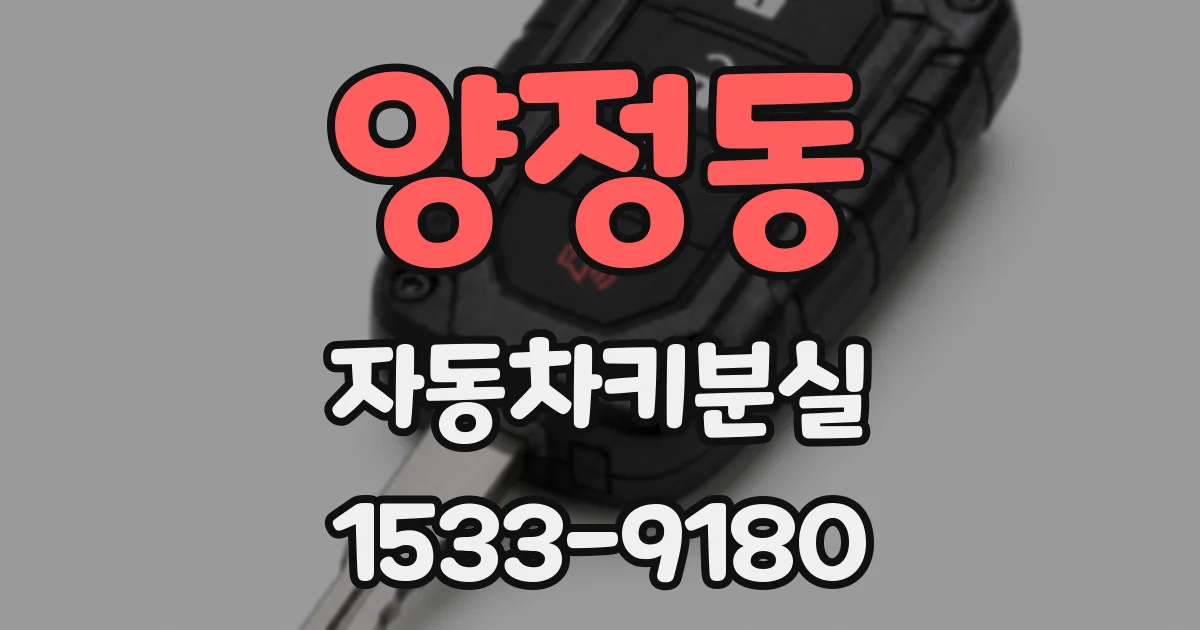 양정동 자동차키분실