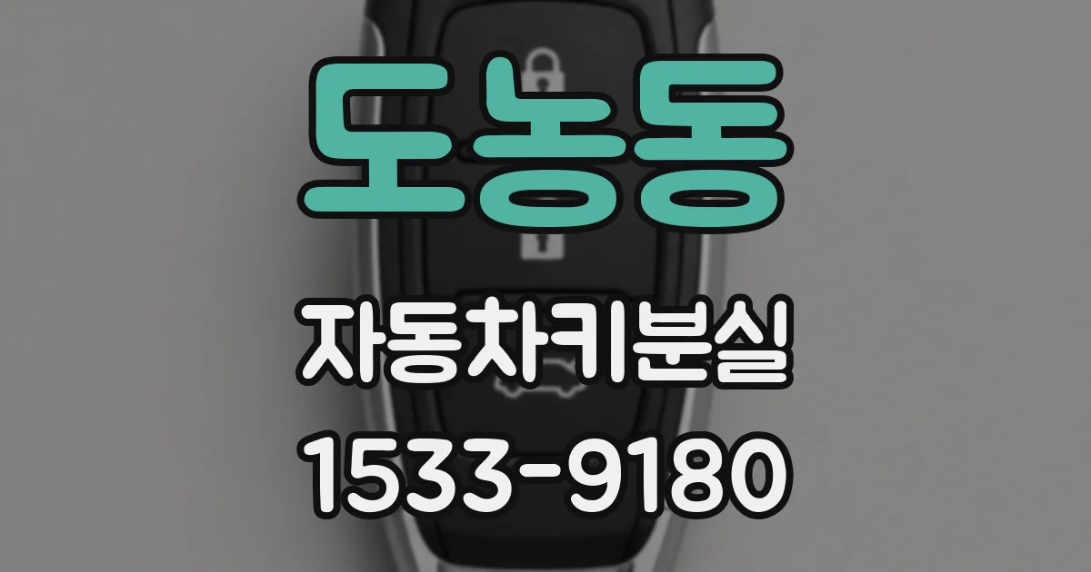 도농동 자동차키분실