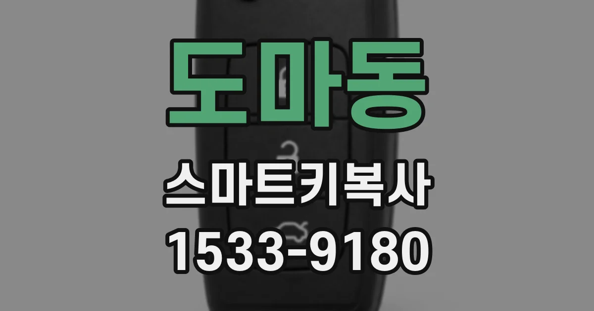 도마동 스마트키복사