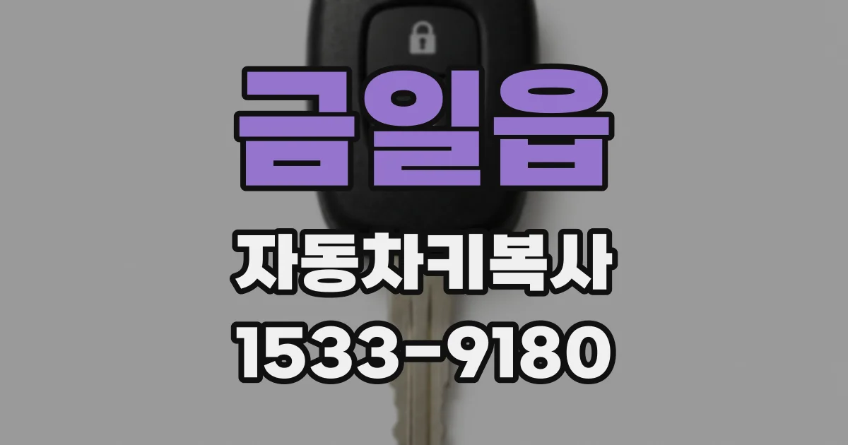 금일읍 자동차키복사