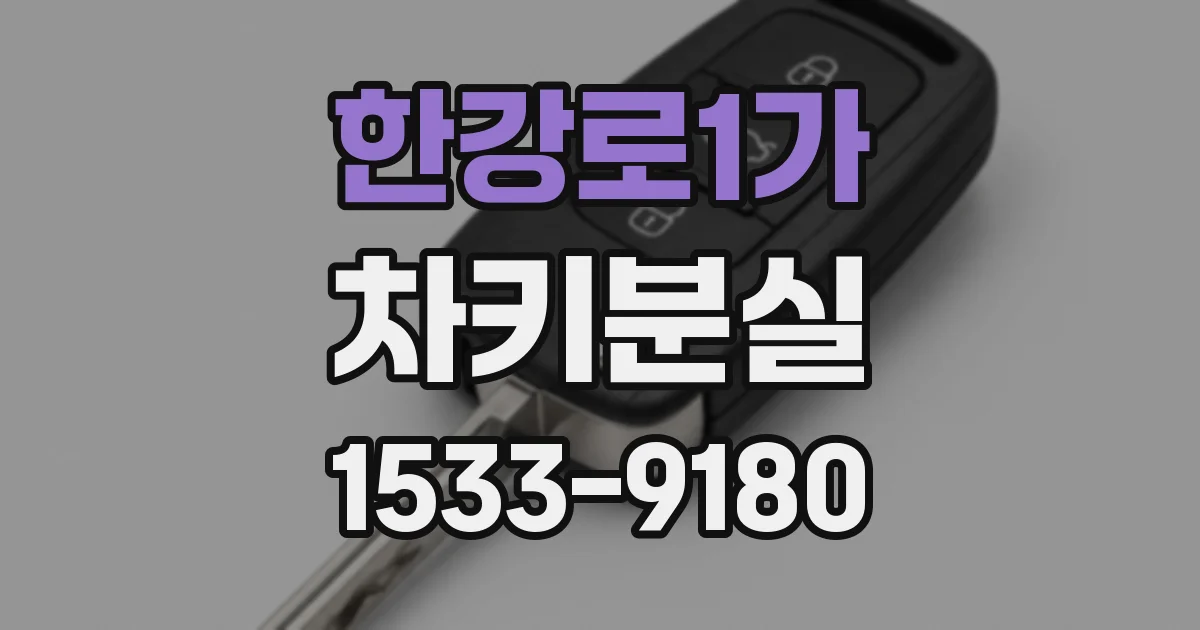 한강로1가 차키분실