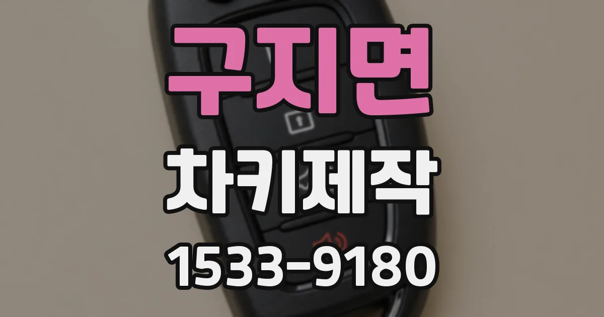 구지면 차키제작