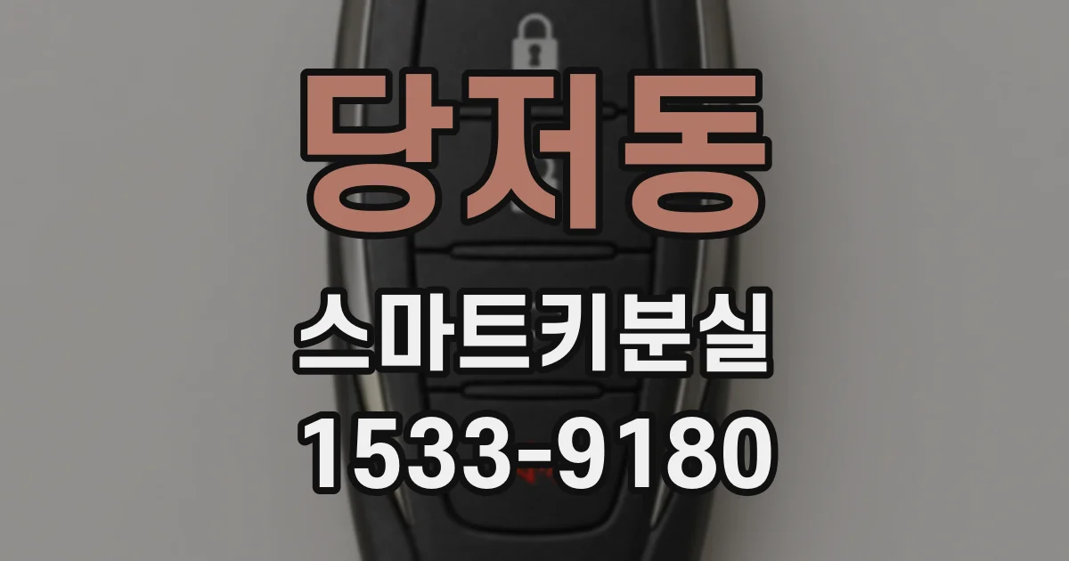 당저동 스마트키분실