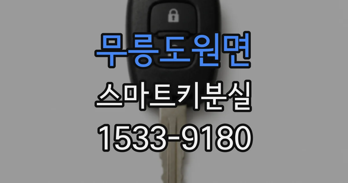 무릉도원면 스마트키분실