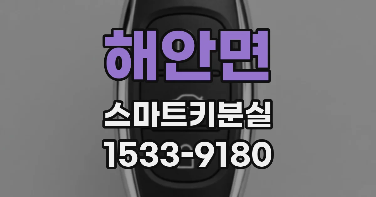 해안면 스마트키분실