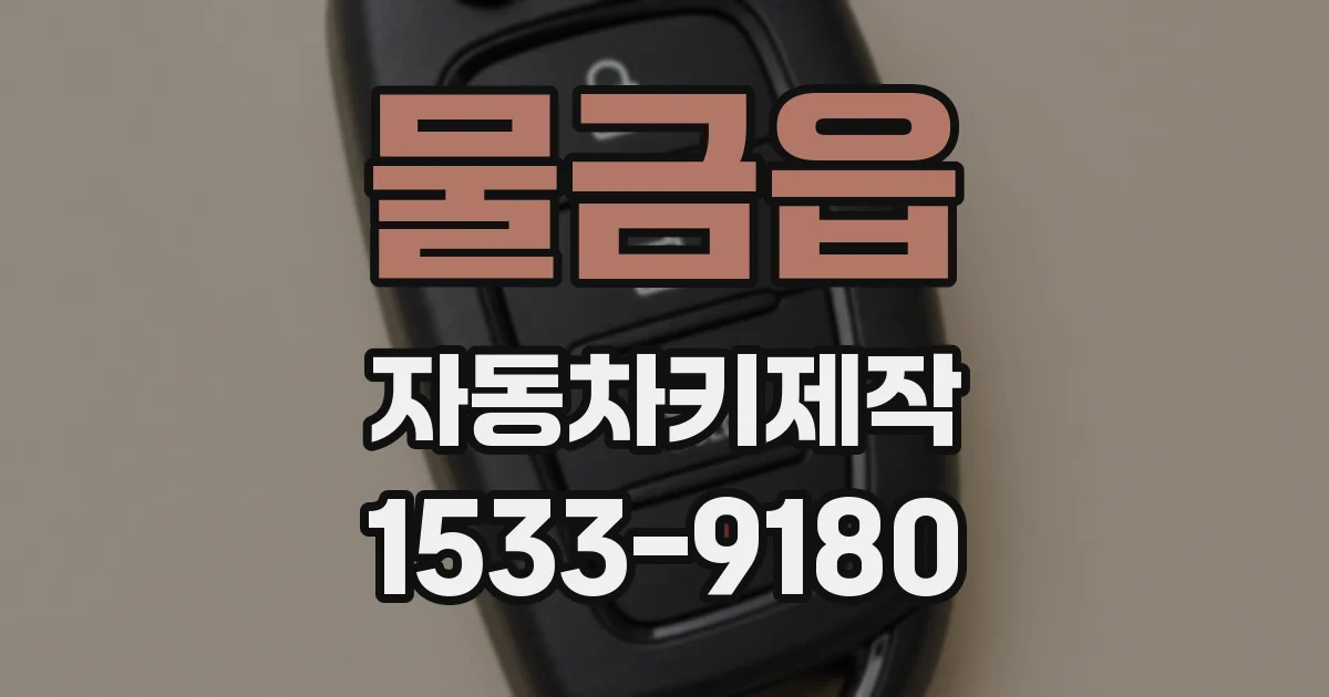 물금읍 자동차키제작
