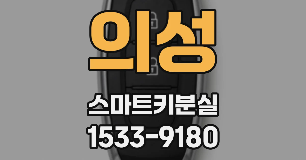 의성 스마트키분실