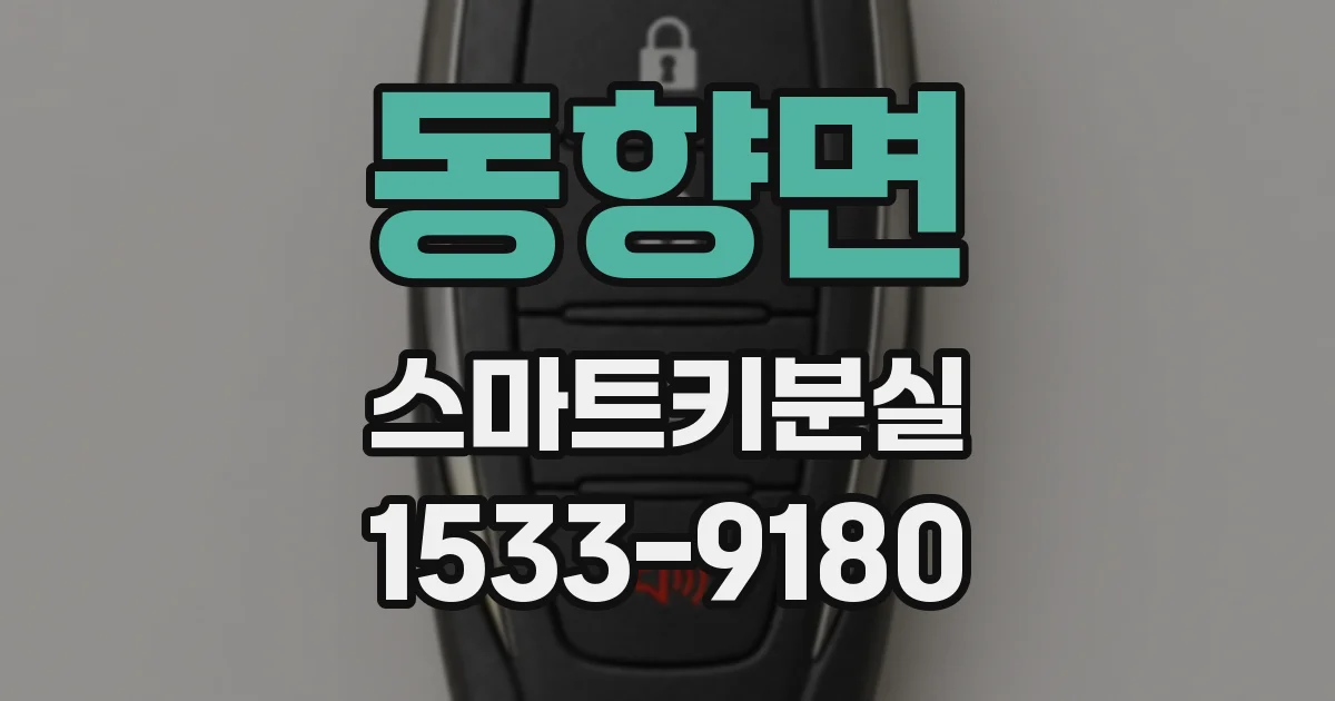 동향면 스마트키분실