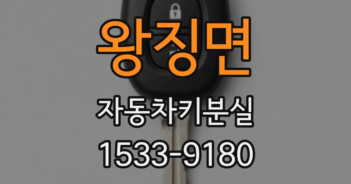 왕징면 자동차키분실