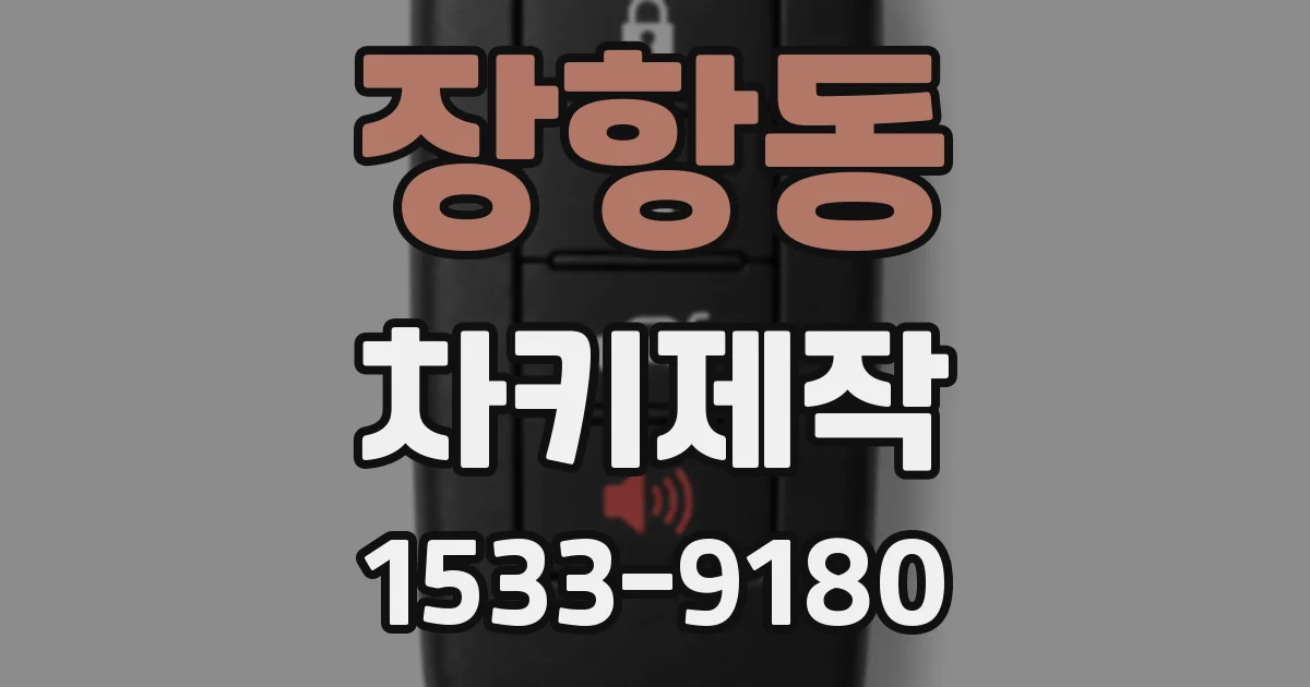 장항동 차키제작