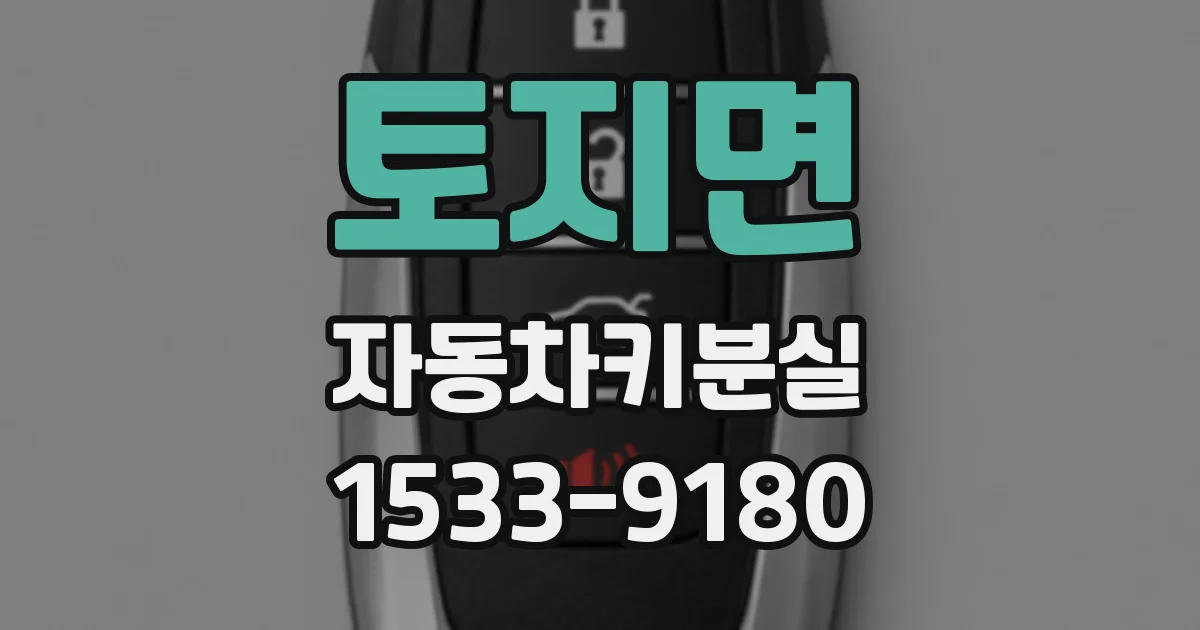 토지면 자동차키분실