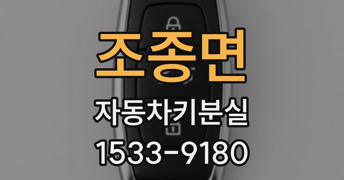 조종면 자동차키분실