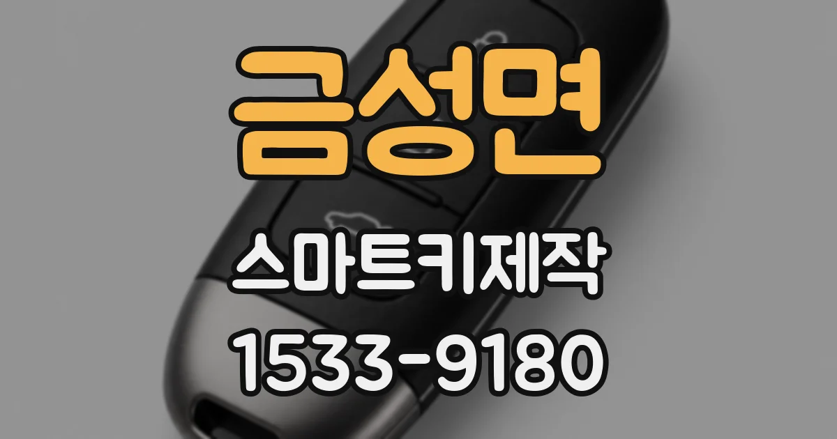 금성면 스마트키제작